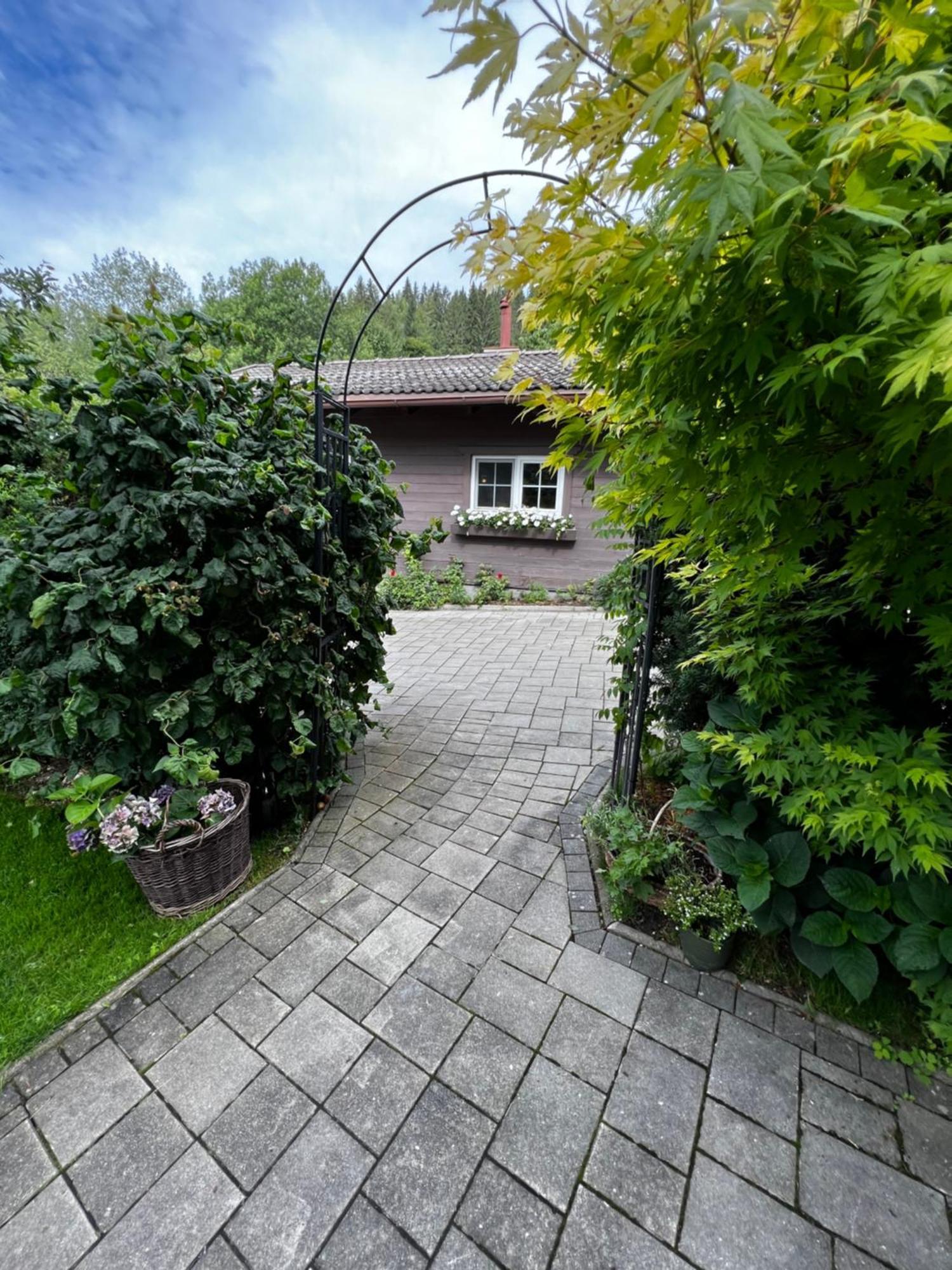 Tini House Villa Wagrain Kültér fotó