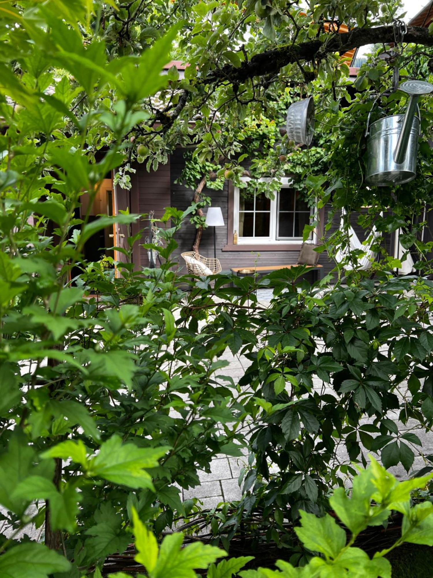 Tini House Villa Wagrain Kültér fotó